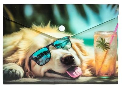 Koperta A5 PP na napę z nadrukiem Chillout Dog. Wydawca: Centrum. SmakLiter.pl Opakowanie Koperta A5 PP na napę z nadrukiem Chillout Dog