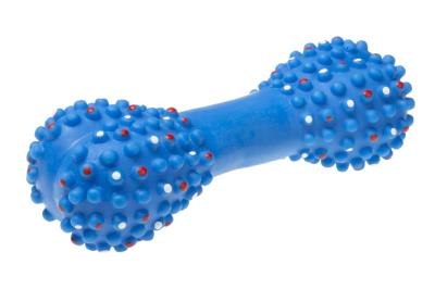 Opakowanie Kość z kolcami piszcząca 16,7cm MIX