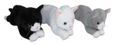 Opakowanie Kot 30cm MIX