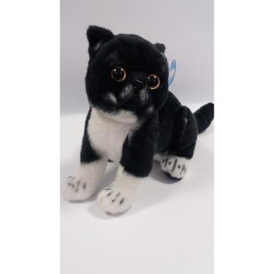 Opakowanie Kot exotic czarno biały 26cm