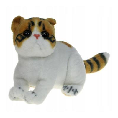 Opakowanie Kot exotic jasny brązowy 26cm