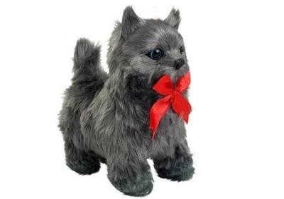 Opakowanie Kot interaktywny ciemnoszary z kokardą