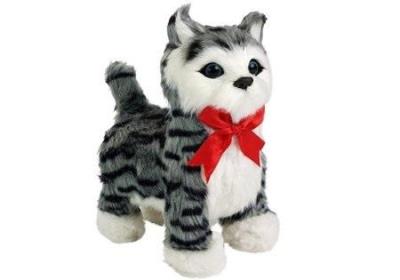 Opakowanie Kot interaktywny