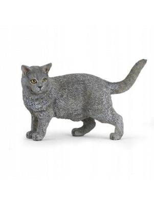 Opakowanie Kot kartuski