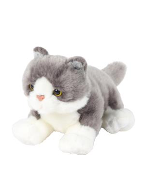 Opakowanie Kot leżący szary 30cm