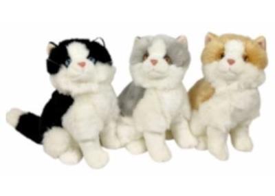 Opakowanie Koty 30cm MIX