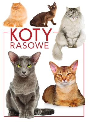 Koty rasowe. Autor: Opracowanie zbiorowe. SmakLiter.pl Okładka książki Koty rasowe