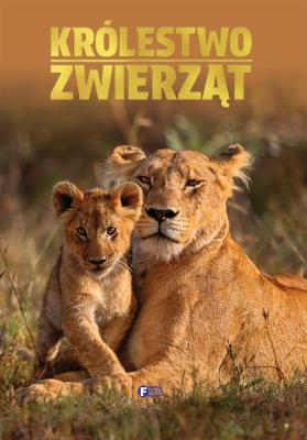 Królestwo zwierząt. Autor: Opracowanie zbiorowe. SmakLiter.pl Okładka książki Królestwo zwierząt