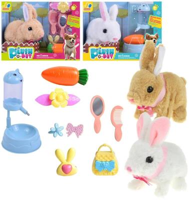 Opakowanie Królik na baterie z akcesoriami