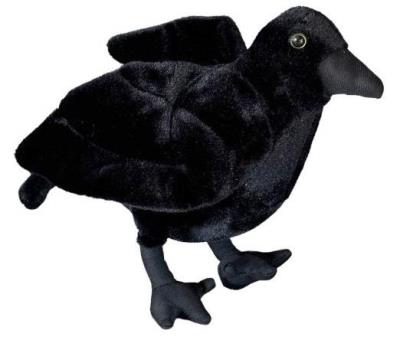 Opakowanie Kruk 25cm