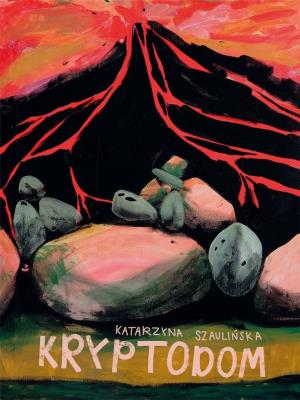 Kryptodom. Autor: Szaulińska Katarzyna. SmakLiter.pl Okładka książki Kryptodom