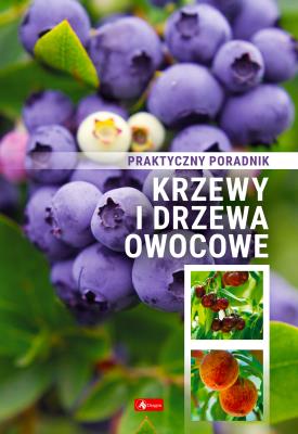 Krzewy i drzewa owocowe. Poradnik praktyczny.. Autor:   Praca zbiorowa. SmakLiter.pl Okładka książki Krzewy i drzewa owocowe. Poradnik praktyczny.