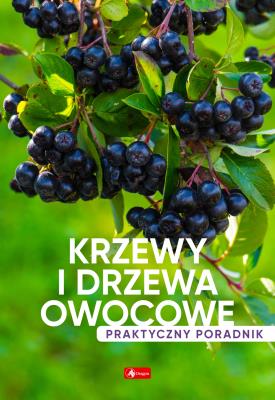 Krzewy i drzewa owocowe. Poradnik praktyczny - uszkodzone. Autor: Opracowanie zbiorowe. SmakLiter.pl Okładka książki Krzewy i drzewa owocowe. Poradnik praktyczny - uszkodzone