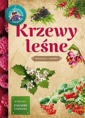 Krzewy leśne. Autor: Tomasz Hryniewicki. SmakLiter.pl Okładka książki Krzewy leśne