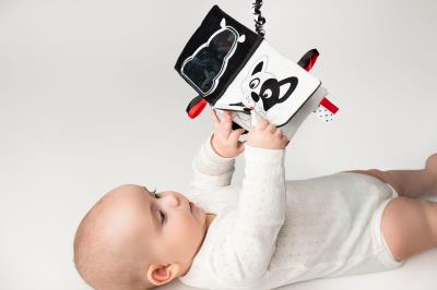 Opakowanie Książeczka Kto to? Co to?