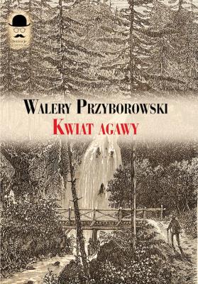 Kwiat agawy. Autor: Walery Przyborowski. SmakLiter.pl Okładka książki Kwiat agawy
