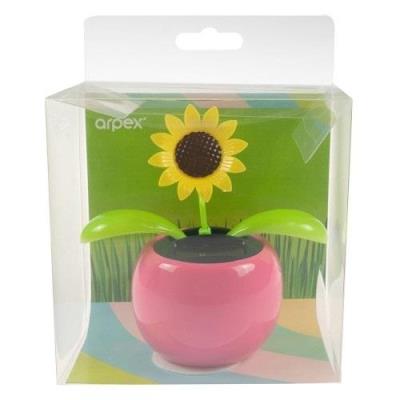 Kwiatek solarny - kiwaczek MIX. Wydawca: ARPEX. SmakLiter.pl Opakowanie Kwiatek solarny - kiwaczek MIX