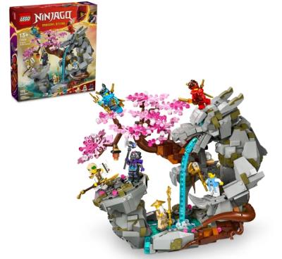 Opakowanie Lego NINJAGO 71819 Świątynia Smoczego Kamienia