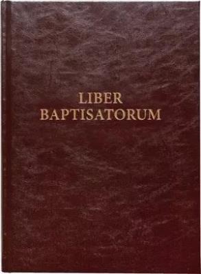 Liber baptistatorum. Autor:   Praca zbiorowa. SmakLiter.pl Okładka książki Liber baptistatorum