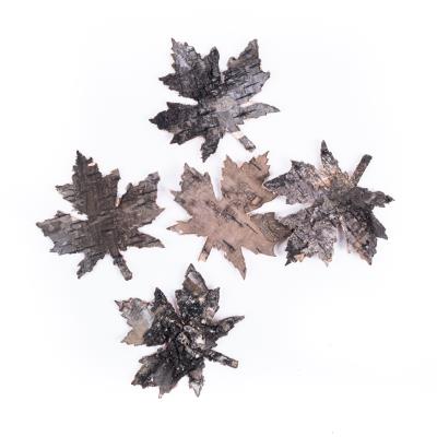 Opakowanie Liście klonu z kory 5 sztuk