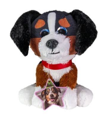 Opakowanie Lumo Bernese mountain dog Bruno classic