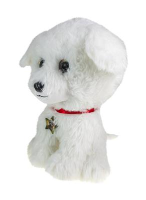 Opakowanie Lumo Maltese dog Rosie huge