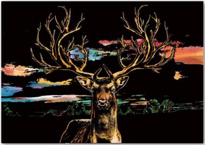 Opakowanie Magiczna zdrapka Deer