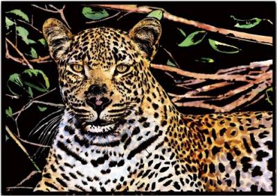 Opakowanie Magiczna zdrapka Leopard