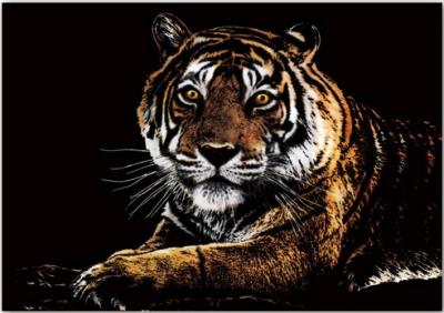 Opakowanie Magiczna zdrapka Tiger