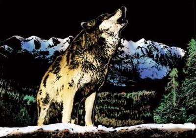 Opakowanie Magiczna Zdrapka - Wilk 40.5x28.5cm