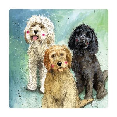 Opakowanie Magnes FM229 Psy Cockapoo