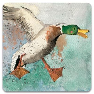 Opakowanie Magnes FM86 Lądująca kaczka