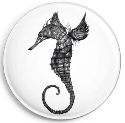 Opakowanie Magnes Konik morski