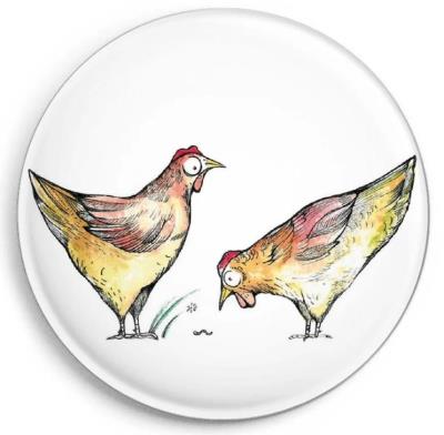 Opakowanie Magnes Kury