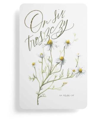 Magnes na lodówkę - On się troszczy. Wydawca: Szaron. SmakLiter.pl Opakowanie Magnes na lodówkę - On się troszczy