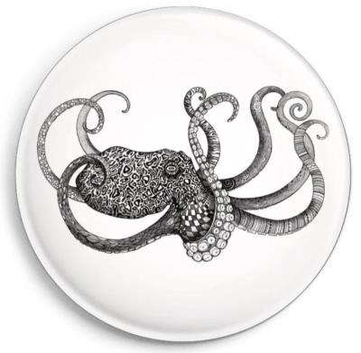 Magnes Ośmiornica. Wydawca: Ligarti. SmakLiter.pl Opakowanie Magnes Ośmiornica