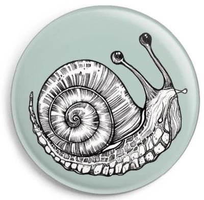 Opakowanie Magnes Ślimak