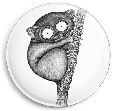 Opakowanie Magnes Wyrak