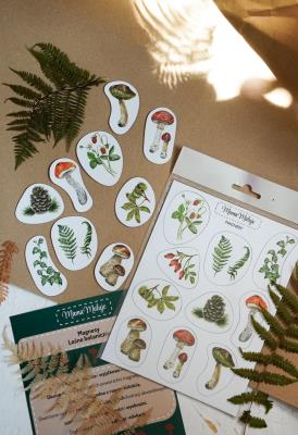 Magnesy Leśne botaniczne. Wydawca: Mama Maluje. SmakLiter.pl Opakowanie Magnesy Leśne botaniczne