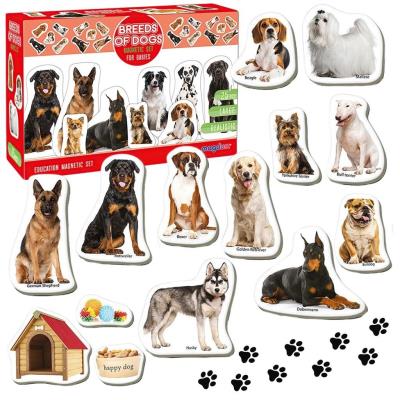 Opakowanie Magnesy rasy psów 25szt