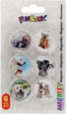 Opakowanie Magnesy szklane do tablic psy koty