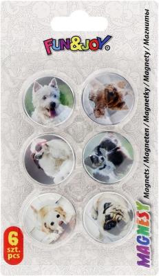 Opakowanie Magnesy szklane do tablic psy