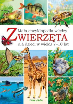 Mała encyklopedia wiedzy. Zwierzęta. Autor: Chilmon Eryk. SmakLiter.pl Okładka książki Mała encyklopedia wiedzy. Zwierzęta