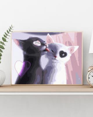 Opakowanie Malowanie po numerach 30x40cm Czarno-biała przyjaźń