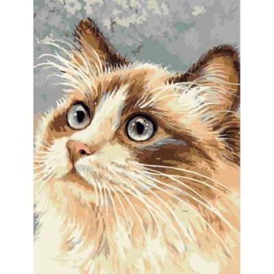 Opakowanie Malowanie po numerach - 30x40cm Kot