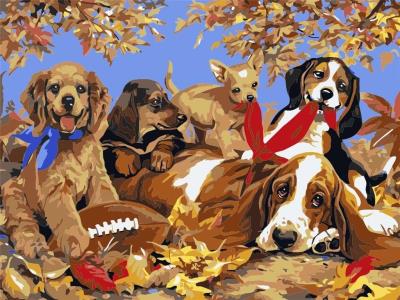 Opakowanie Malowanie po numerach - 30x40cm Psy