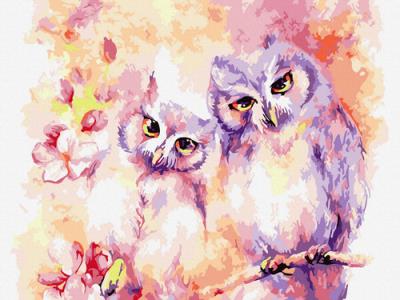 Opakowanie Malowanie po numerach 30x40cm Zakochane sowy