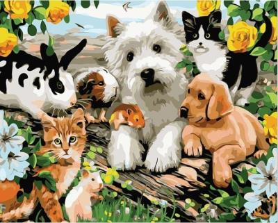 Opakowanie Malowanie po numerach - 30x40cm Zwierzęta