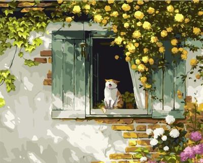 Opakowanie Malowanie po numerach 40x50 Kot