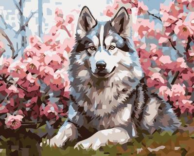 Opakowanie Malowanie po numerach 40x50 Pies